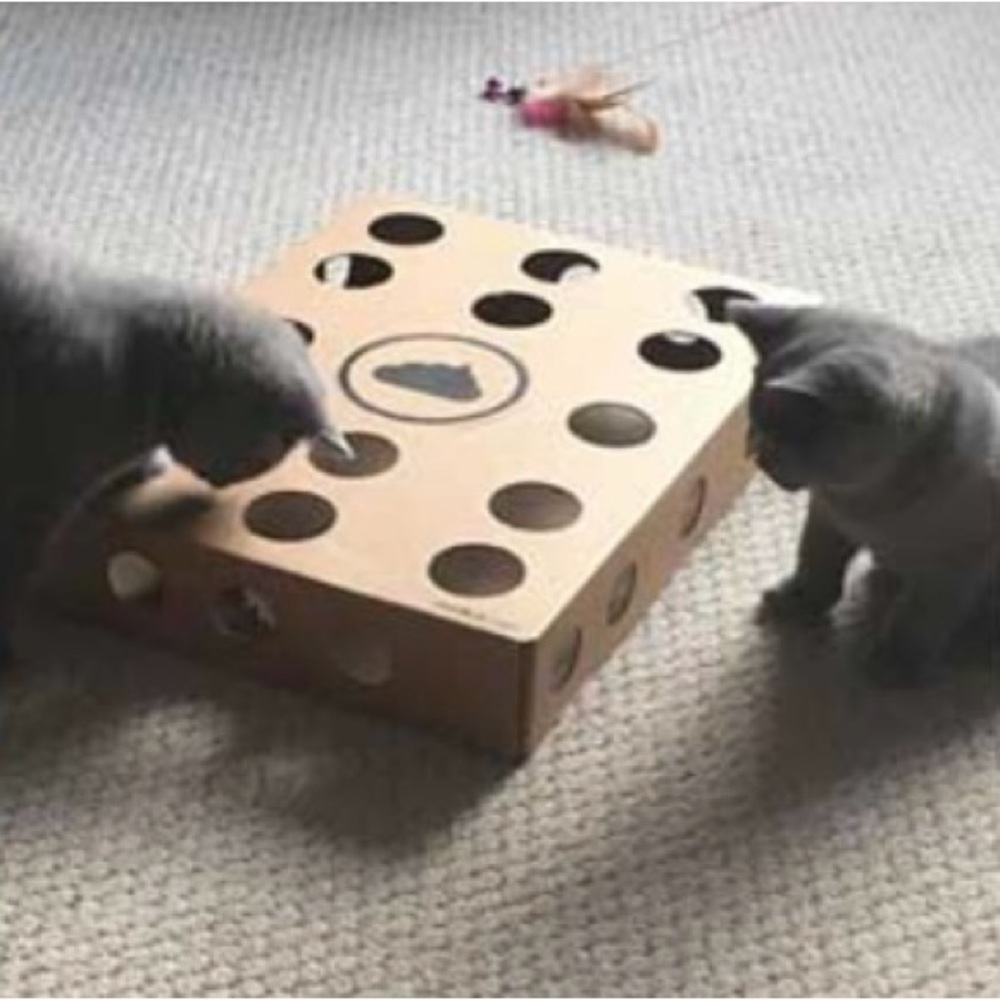 Modcat Cardboard Toy 13x17x3 Holes Ball Scratch Chase Catch Fun Kitten Cat Play